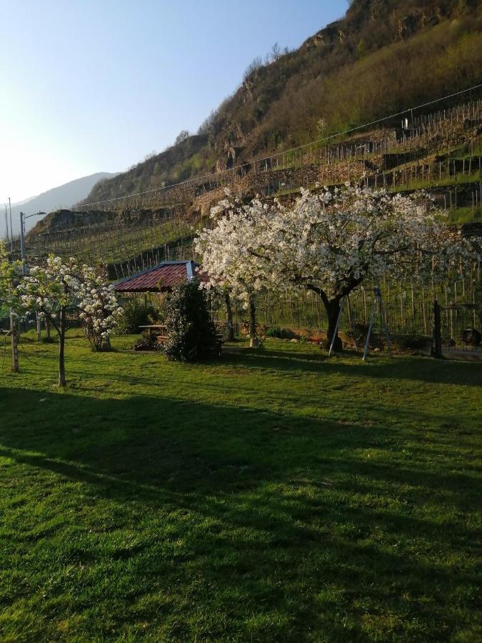 Casa Vacanze La Ca Del Cunfec Sondrio Buitenkant foto