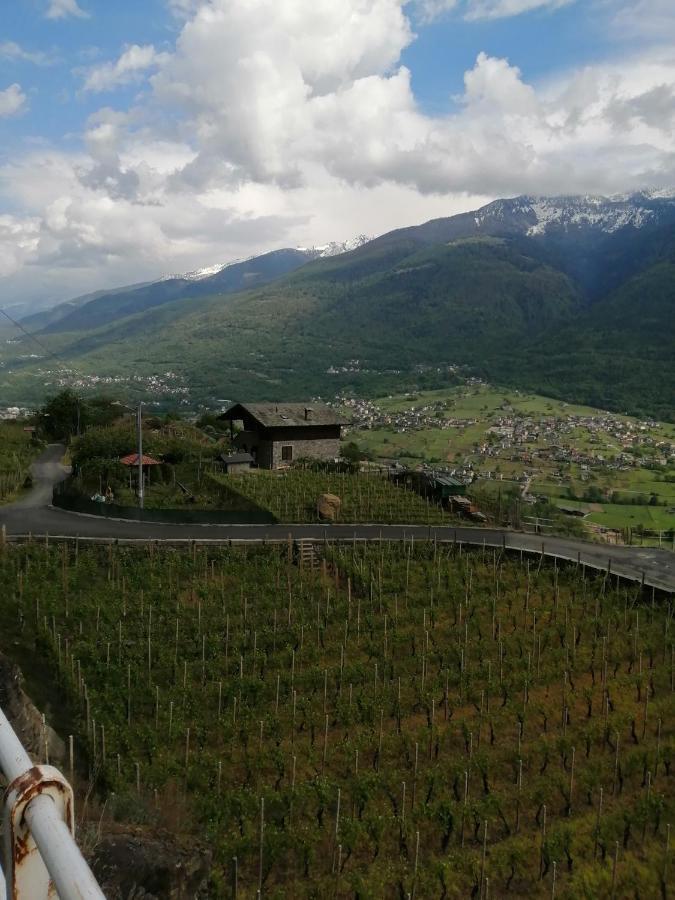Casa Vacanze La Ca Del Cunfec Sondrio Buitenkant foto