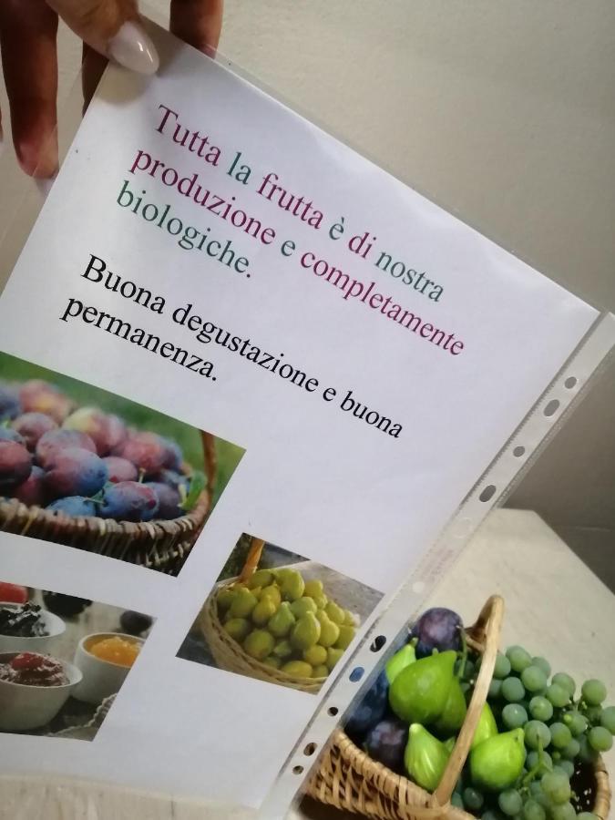 Casa Vacanze La Ca Del Cunfec Sondrio Buitenkant foto